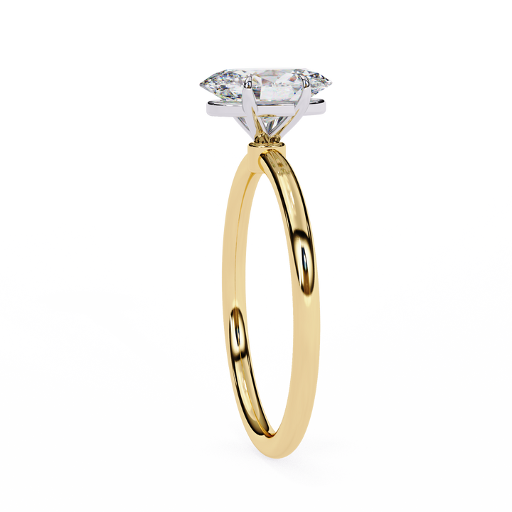 Ring-R3123