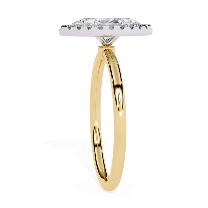 Ring-R3134